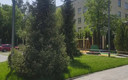 Зелёная зона ЖК Аалто