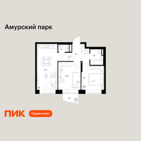 Планировка двухкомнатной(квартира) площадью 48.7 квадратных метров в “ЖК Амурский парк”