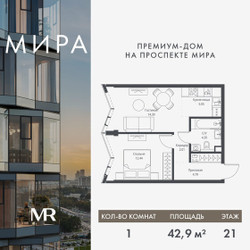 Планировка однокомнатной(квартира) площадью 42.88 квадратных метров в ЖК “Дом премиум-класса МИРА”