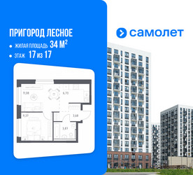 Планировка однокомнатной(квартира) площадью 34 квадратных метров в ЖК “ЖК Пригород Лесное”