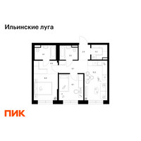 Планировка двухкомнатной(квартира) площадью 53.1 квадратных метров в “ЖК Ильинские луга”