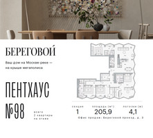 Планировка трехкомнатной(квартира) площадью 205.9 квадратных метров в “ЖК Береговой-2”