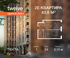 Планировка двухкомнатной(квартира) площадью 43.6 квадратных метров в “ЖК Твелв”