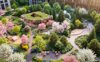 Сад в ЖК "Веер"