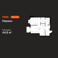 Планировка однокомнатной(квартира) площадью 44.6 квадратных метров в “Нарвин”