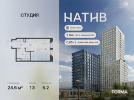 Планировка студии(квартира) площадью 24.6 квадратных метров в “ЖК Натив”