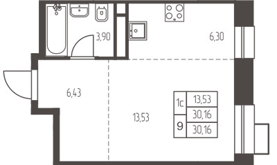 Планировка студии(квартира) площадью 30.2 квадратных метров в ЖК “ЖК Новая Ивантеевка”