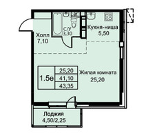 Планировка однокомнатной(апартаменты) площадью 43.4 квадратных метров в “ЖК Кашинцево”