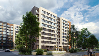 Озеленение в ЖК Лесная Отрада