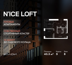 Планировка двухкомнатной(апартаменты) площадью 43.3 квадратных метров в ЖК “ЖК N’ICE LOFT (Найс Лофт)”