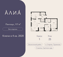 Планировка трехкомнатной(квартира) площадью 117 квадратных метров в “ЖК АЛИА”