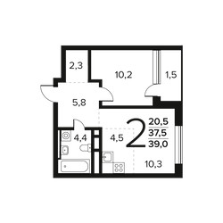 Планировка двухкомнатной(квартира) площадью 39 квадратных метров в ЖК “Новые Ватутинки. Заречный”