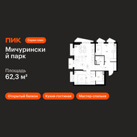 Планировка двухкомнатной(квартира) площадью 62.3 квадратных метров в “ЖК Мичуринский Парк”