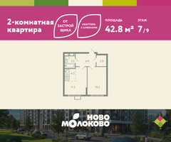 Планировка двухкомнатной(квартира) площадью 42.8 квадратных метров в “ЖК Ново-Молоково”