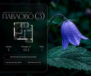 Планировка трехкомнатной(квартира) площадью 60.3 квадратных метров в ЖК “Павлово 3”