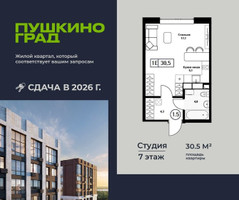 Планировка студии(квартира) площадью 30.5 квадратных метров в “ЖК Пушкино Град”
