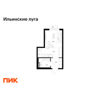 Планировка студии(квартира) площадью 24.56 квадратных метров в “ЖК Ильинские луга”