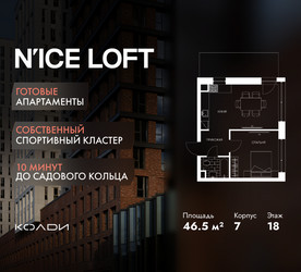 Планировка однокомнатной(апартаменты) площадью 46.5 квадратных метров в ЖК “ЖК N’ICE LOFT (Найс Лофт)”
