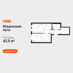 Планировка однокомнатной(квартира) площадью 42.5 квадратных метров в ЖК “ЖК Ильинские луга”