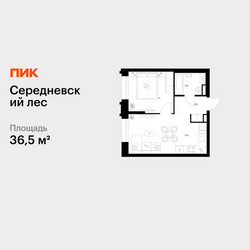 Планировка однокомнатной(квартира) площадью 36.5 квадратных метров в ЖК “ЖК Середневский лес”