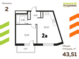 Планировка двухкомнатной(квартира) площадью 43.51 квадратных метров в “ЖК Южное Пушкино”