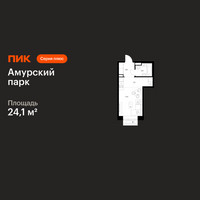 Планировка студии(квартира) площадью 24.1 квадратных метров в “ЖК Амурский парк”