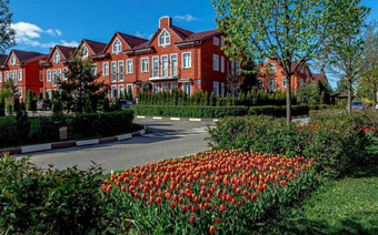 территория