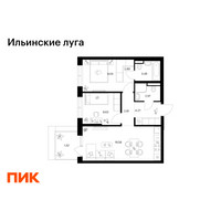 Планировка двухкомнатной(квартира) площадью 55.01 квадратных метров в “ЖК Ильинские луга”