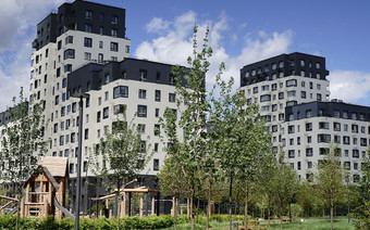 Озеленение в ЖК "Новые Ватутинки"