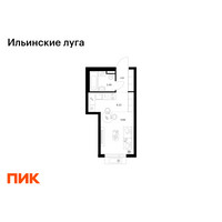 Планировка студии(квартира) площадью 22.51 квадратных метров в “ЖК Ильинские луга”