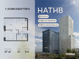 Планировка однокомнатной(квартира) площадью 37 квадратных метров в “ЖК Натив”