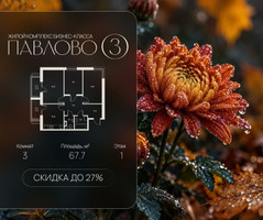 Планировка трехкомнатной(квартира) площадью 67.7 квадратных метров в “Павлово 3”