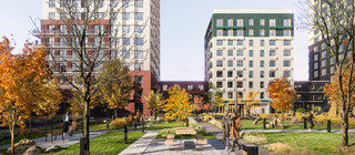 Благоустройство в ЖК “Плеханова 11”