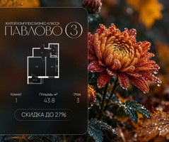Планировка однокомнатной(квартира) площадью 43.8 квадратных метров в “Павлово 3”