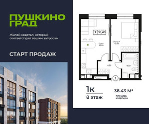 Планировка однокомнатной(квартира) площадью 38.43 квадратных метров в ЖК “ЖК Пушкино Град”