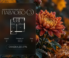 Планировка двухкомнатной(квартира) площадью 53.2 квадратных метров в “Павлово 3”