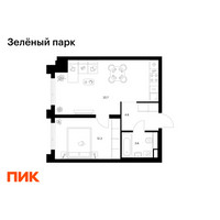 Планировка однокомнатной(квартира) площадью 43.1 квадратных метров в “ЖК Зеленый парк”
