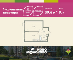 Планировка однокомнатной(квартира) площадью 39.6 квадратных метров в “ЖК Ново-Молоково”