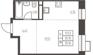 Планировка студии(квартира) площадью 30.2 квадратных метров в “ЖК Новая Ивантеевка”