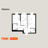 Планировка двухкомнатной(квартира) площадью 55.2 квадратных метров в “Нарвин”