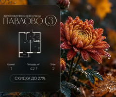 Планировка однокомнатной(квартира) площадью 42.7 квадратных метров в “Павлово 3”