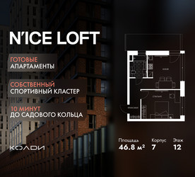 Планировка однокомнатной(апартаменты) площадью 46.8 квадратных метров в ЖК “ЖК N’ICE LOFT (Найс Лофт)”