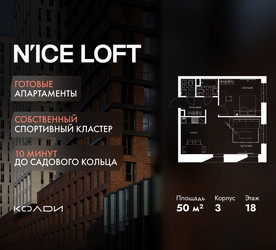 Планировка двухкомнатной(апартаменты) площадью 50 квадратных метров в ЖК “ЖК N’ICE LOFT (Найс Лофт)”