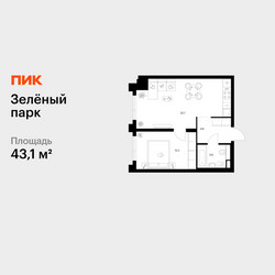 Планировка однокомнатной(квартира) площадью 43.1 квадратных метров в ЖК “ЖК Зеленый парк”