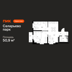 Планировка двухкомнатной(квартира) площадью 50.9 квадратных метров в ЖК “ЖК Саларьево парк”