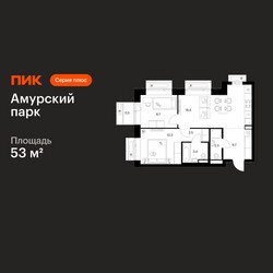 Планировка двухкомнатной(квартира) площадью 53 квадратных метров в ЖК “ЖК Амурский парк”