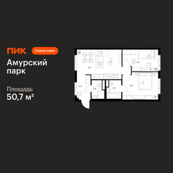 Планировка двухкомнатной(квартира) площадью 50.7 квадратных метров в ЖК “ЖК Амурский парк”
