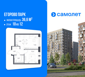 Планировка однокомнатной(квартира) площадью 36.6 квадратных метров в ЖК “ЖК Егорово Парк”