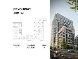 Планировка трехкомнатной(квартира) площадью 221.5 квадратных метров в ЖК “ЖК Дом А”