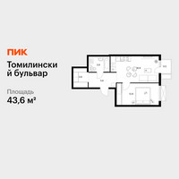 Планировка однокомнатной(квартира) площадью 43.6 квадратных метров в “ЖК Томилинский бульвар”